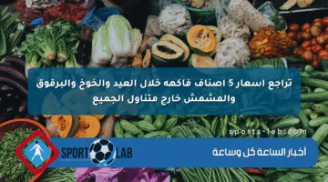 تراجع أسعار 5 أصناف فاكهة خلال العيد والخوخ والبرقوق والمشمش خارج متناول الجميع